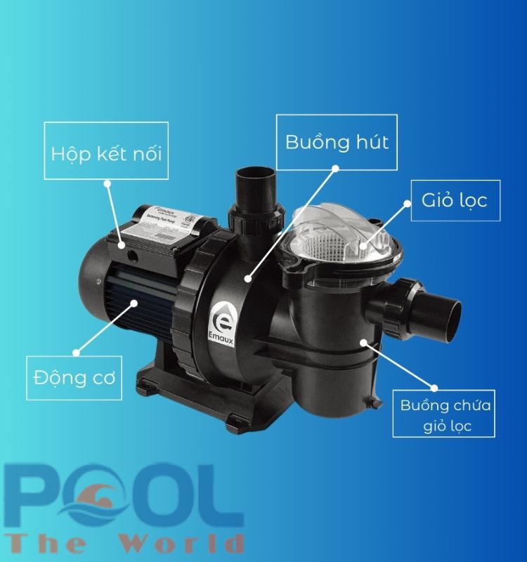 Bơm lọc Kripsol và Zodiac: Đâu là lựa chọn tốt nhất cho bể bơi của bạn?